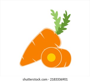 Vector of carrots on white background