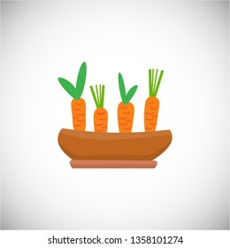 Vector carrots, planted in pot. Healthy food, organic, ecology theme. Vector illustration isolated on white background. EPS10