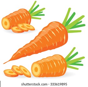 Vector carrots. Sliced carrots, collection of vector illustrations