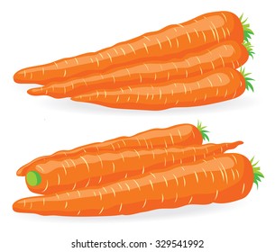 Vector carrots. Two heaps of fresh carrots vector illustrations