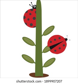 Vector cartoon 2 ladybugs and plant icon isolated on white background. Simple modern flat illustration. Insect with dots. Learning for children.