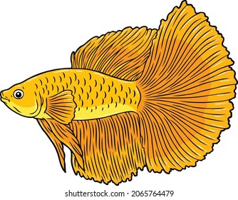 Vector Cartoon 24k Gold Dumbo Ear Betta Fish