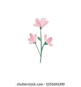 Vector cartoon abstract pink flower icon. Meadow garden spring easter women day romantic holiday, wedding invitation card decoration element summer floral Illustration white background