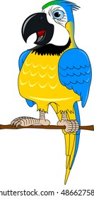 Vector cartoon african Macaw birds made in flat style