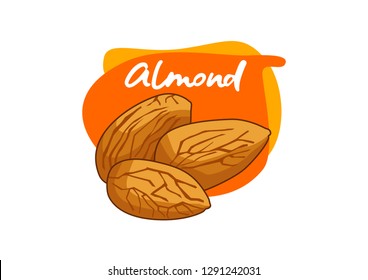 vector cartoon almond illustration, isolated almonds on a white background, fresh almonds, hazelnuts, vector almonds.