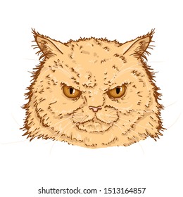 Vector Cartoon Angry Persian Cats Portrait. Feline Face Illustration.