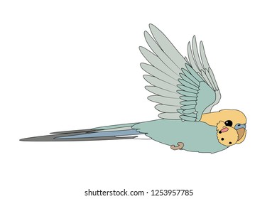 vector cartoon animal clip art flying budgerigar