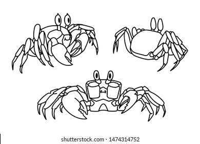 6,368 Ghost Crab Beach Images, Stock Photos & Vectors | Shutterstock