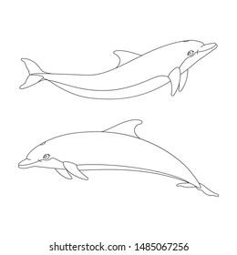 vector cartoon animal clip art bottlenose dolphins