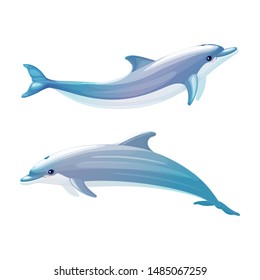 vector cartoon animal clip art bottlenose dolphins