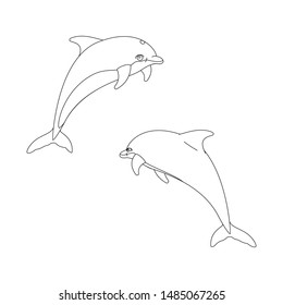 vector cartoon animal clip art bottlenose dolphins