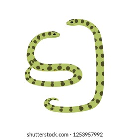 vector cartoon animal clipart anaconda snake set