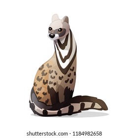 vector cartoon animal clipart: civet cat
