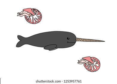 vector cartoon animal clipart narwhal, nautilus