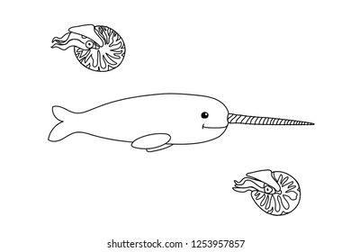 vector cartoon animal clipart narwhal, nautilus