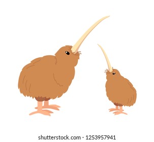 vector cartoon animal clipart wingless kiwi bird