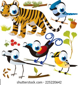 vector cartoon animal set: tiger and birds: bird of paradise, warbler, jay and wagtail