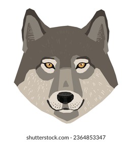 vector cartoon animals portraits and design 