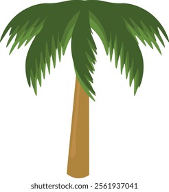Vector Cartoon  Animation Illustration Objects