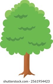 Vector Cartoon  Animation Illustration Objects