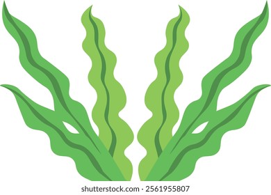 Vector Cartoon  Animation Illustration Objects