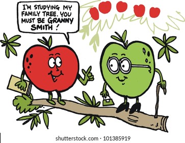 Vector cartoon of apples on tree branch.