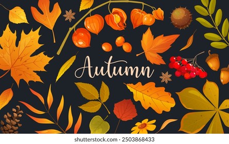 Vector cartoon autumn background with fall leaves, berries, pine cone, chestnut, acorns, physalis and lettering.