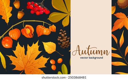 Vector cartoon autumn background with leaves, berries, pine cone, acorns, chestnut, physalis.