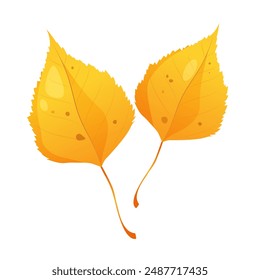 Vector cartoon autumn birch leaves isolated on white background.