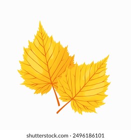 Vector cartoon autumn birch leaves isolated on white background
