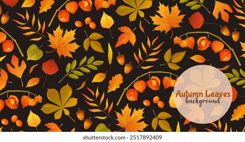 Vector cartoon autumn leaves background with different leaves types.