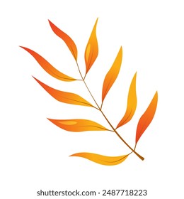 Vector cartoon autumn pecan tree leaves isolated on white background.