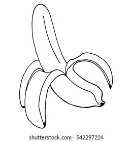 Vector  of Cartoon Banana. Overripe Banana, Single Banana , Peeled Banana.