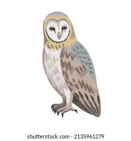 Vector cartoon barn owl isolated on white background.