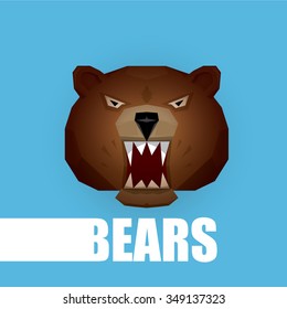 vector cartoon bear. grizzle icon. bear muzzle