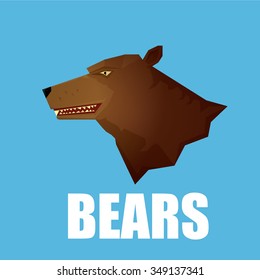vector cartoon bear. grizzle icon. bear muzzle