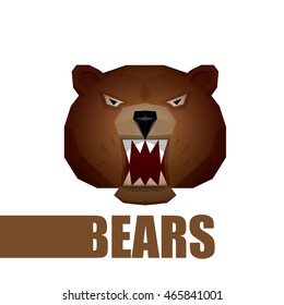 vector cartoon bear. grizzle icon. bear muzzle