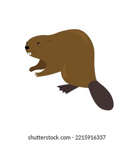 Vector cartoon beaver. Forest animal. American animal. Wild animal of Canada.