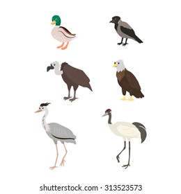 Vector cartoon birds: duck crow buzzard eagle crane heron. The drawn set of wild birds. Collection of stylized animals in a flat style.
