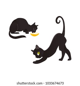 Vector cartoon black cat animals set. Funny flat domestic pet different poses drinking from cat bowl playing stretching. Cute character halloween holiday symbol. Isolated illustration white background