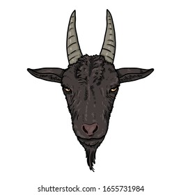 Vector Cartoon Black Goat Head. Front View
