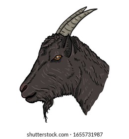 Vector Cartoon Black Goat Head. Side View