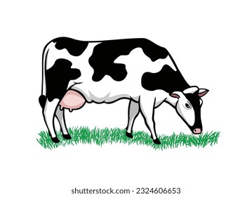 Caricatura vectorial de vaca blanca y negra aislada sobre fondo blanco, productos lácteos, agricultura. Dibujo vectorial de una vaca comiendo hierba.