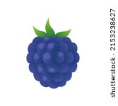 Vector cartoon blackberry illustration isolated on white background. Summer berries for healthy lifestyle. Organic food