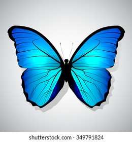 Vector Cartoon Blue Butterfly isolated