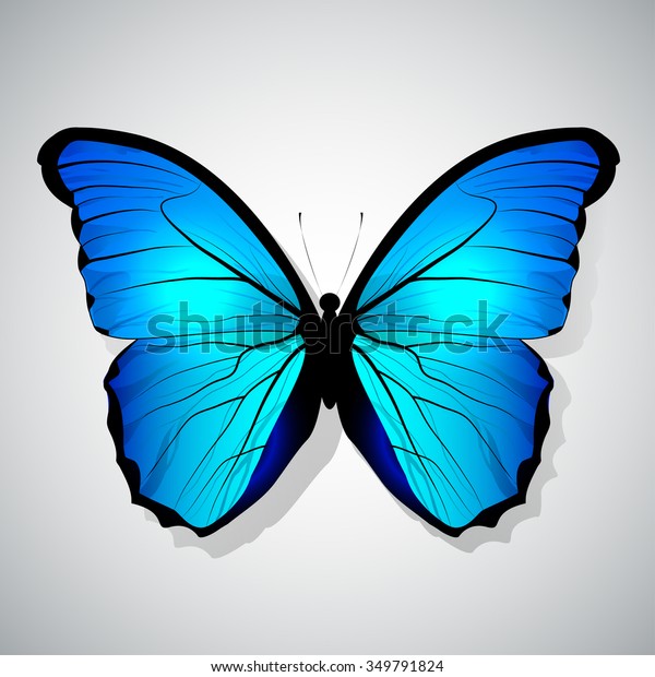 Vector Cartoon Blue Butterfly Isolated Stock Vector (Royalty Free ...