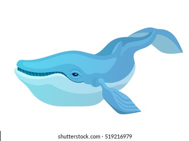 Vector cartoon blue whale isolated on white background