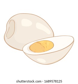 Vector Cartoon Boiled Eggs Illustration