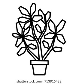 Vector Cartoon Bonsai Isolated On White Background