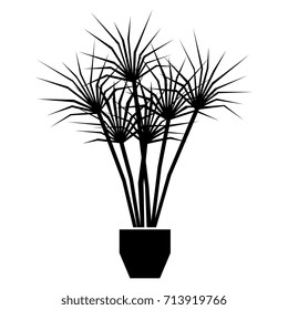 Vector Cartoon Bonsai Isolated On White Background